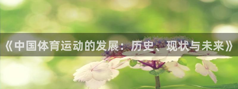 MK体育官方正版app官方
