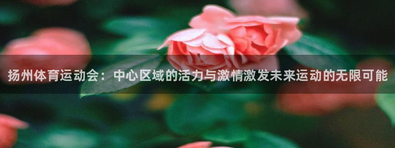MK体育官网下载平台注册流程图：扬州体育运动会：中心