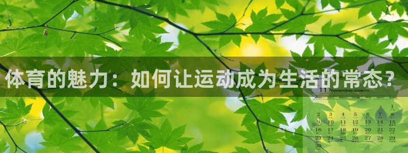 MK体育官方正版app科技：体育的魅力：如何让运动成