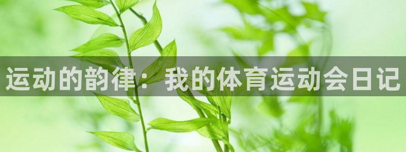 MK体育官方正版app开户：运动的韵律：我的体育运动会日记