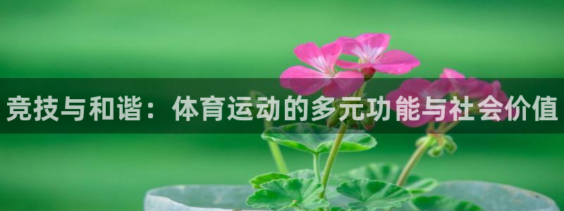 MK体育官网下载平台是正规平台吗