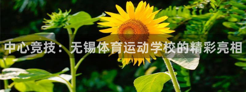 MK体育官方正版app官网