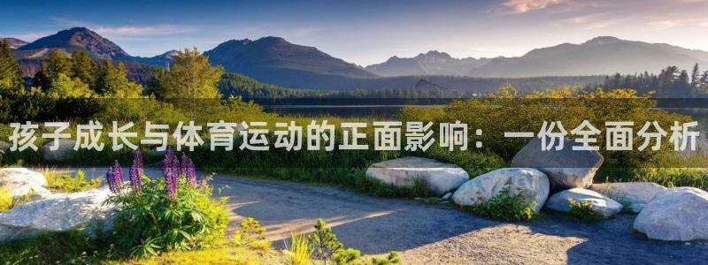 MK体育官网下载平台是正规平台吗安全吗