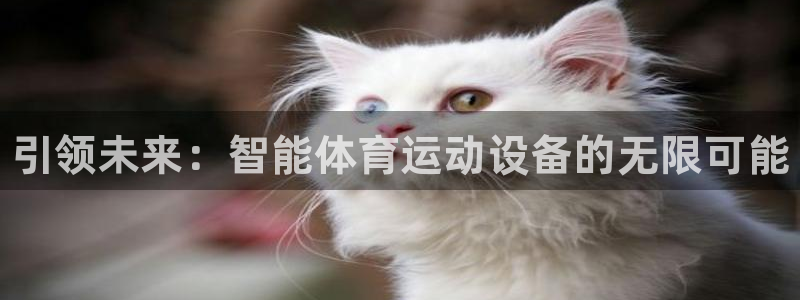 MK体育官网下载招商电话是多少啊