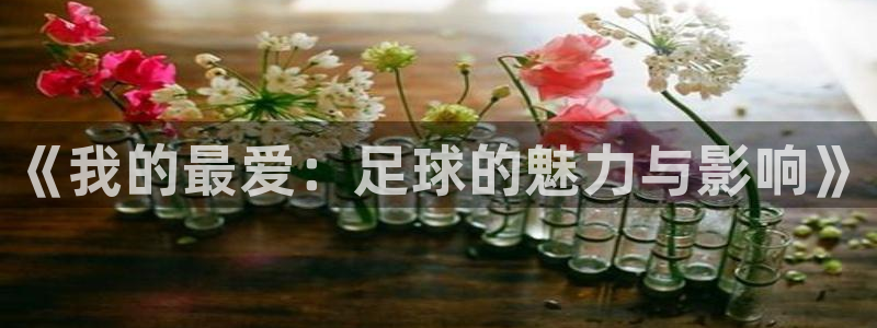 MK体育官方正版app代理：《我的最爱：足球的魅力与