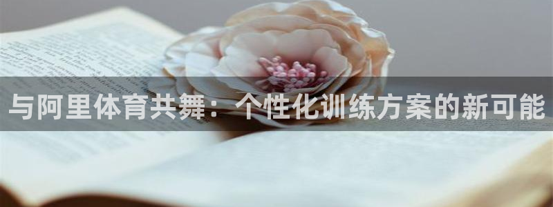 MK体育官方正版app代理