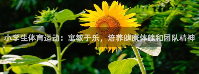 MK体育官网下载平台假的吗是真的吗吗：小学生体育运动：寓教于