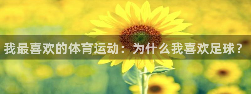 注册MK体育官方正版app：我最喜欢的体育运动：为什么我喜欢