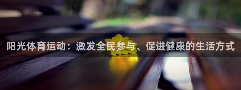 MK体育官方正版app集团