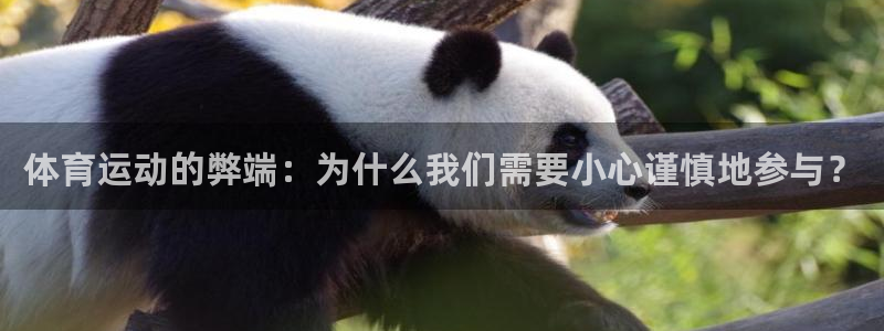 MK体育官方正版app官方：体育运动的弊端：为什么我们需要小