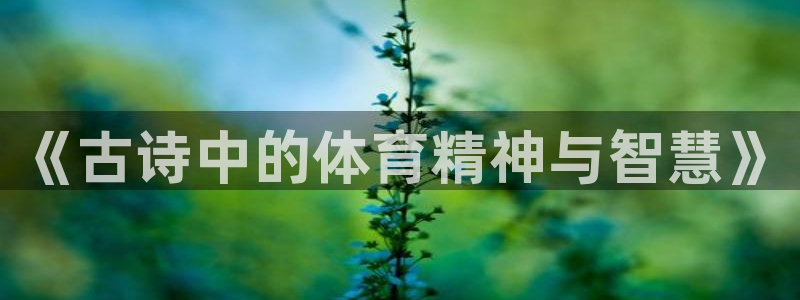 德国MK体育官方正版app集团：《古诗中的体育精神与智慧》