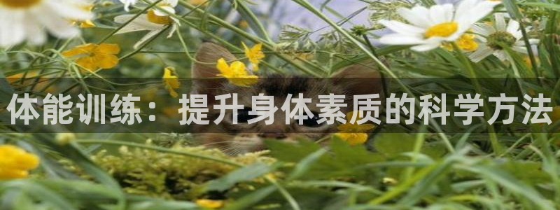 MK体育官网下载平台注册流程图：体能训练：提升身体素质的科学