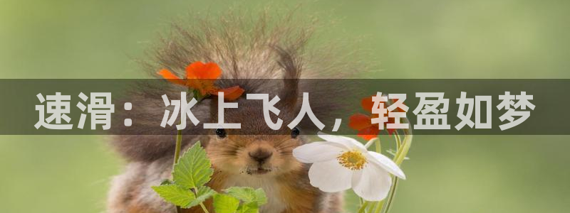 MK体育官网下载平台是正规平台吗安全吗：速滑：冰上飞人，轻盈