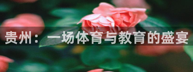 MK体育官网下载联系电话：贵州：一场体育与教育的盛宴