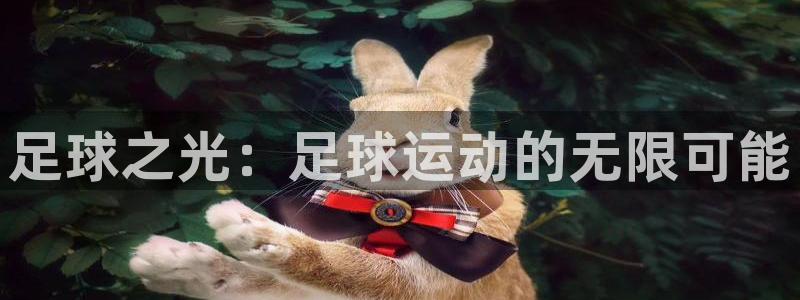 MK体育官方正版app娱乐首页官网下载：足球之光：足球运动的