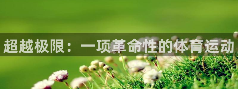 MK体育官网下载娱乐：超越极限：一项革命性的体育运动