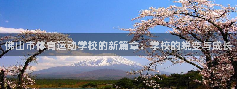 MK体育官方正版app神州