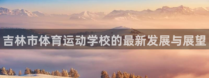 MK体育官方正版app集团logo