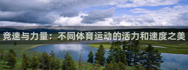 MK体育官方正版app娱乐平台：竞速与力量：不同体育