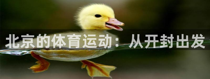 MK体育官网下载招商电话号码是多少号