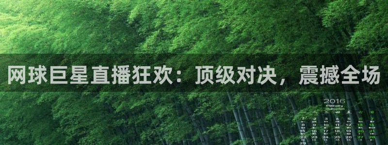 so米体育nba直播吧：网球巨星直播狂欢：顶级对决，震撼全场