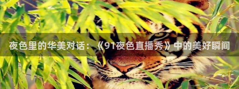 so米体育直播app：夜色里的华美对话：《91夜色直播秀》中的美好瞬间