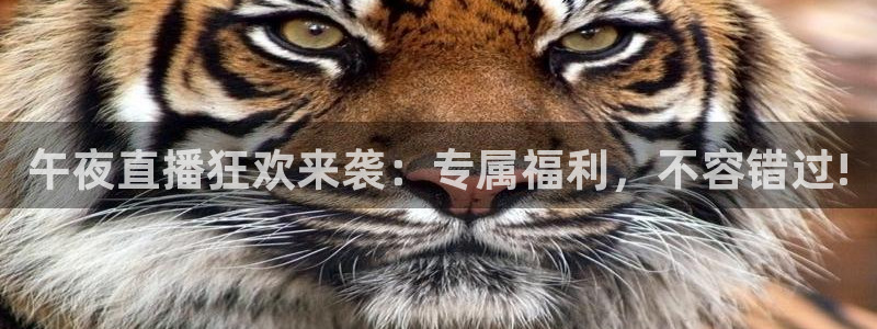 so米体育免费观看：午夜直播狂欢来袭：专属福利，不容错过!