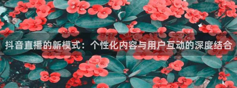 so米nba体育直播平台