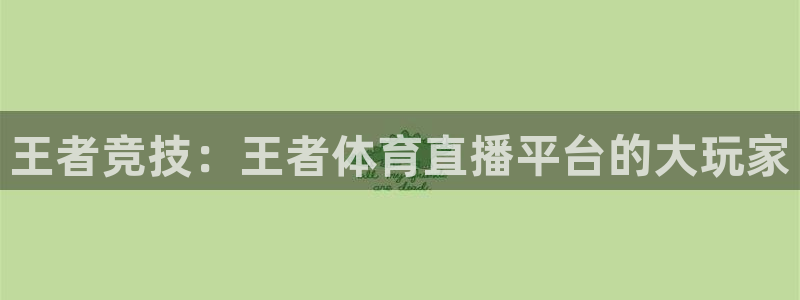 so米体育在线高清直播：王者竞技：王者体育直播平台的大玩家