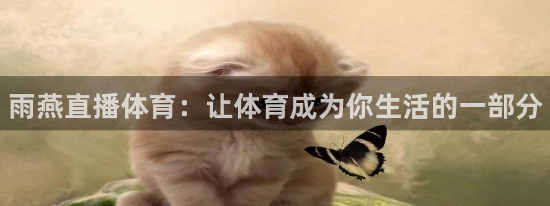 so米体育app：雨燕直播体育：让体育成为你生活的一部分