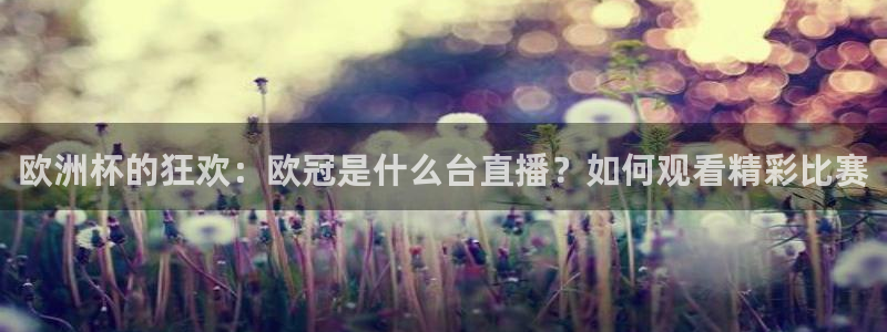 so米直播nba视频