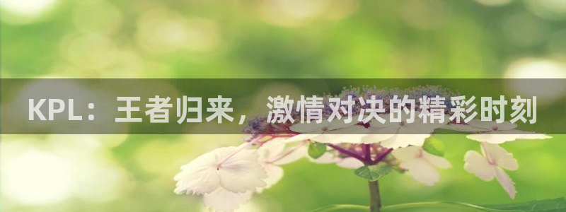 so米体育直播篮球：KPL：王者归来，激情对决的精彩时刻